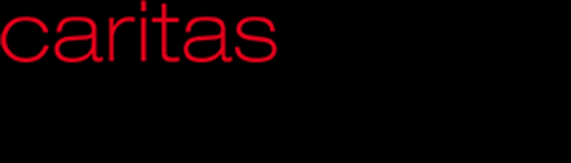 Logo Caritas Schwandorf