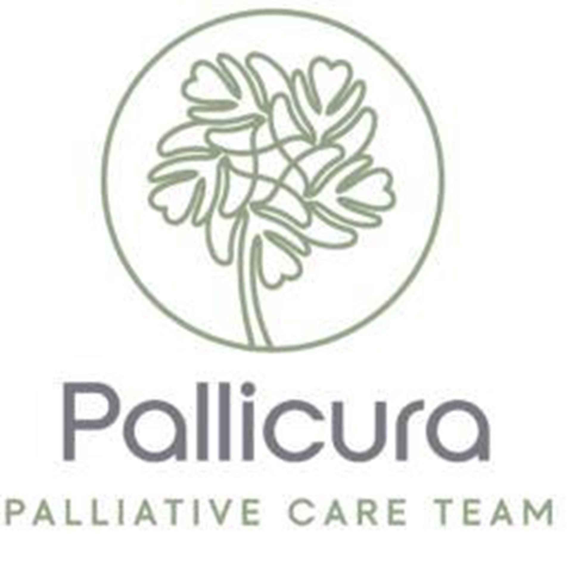 Logo Pallicura